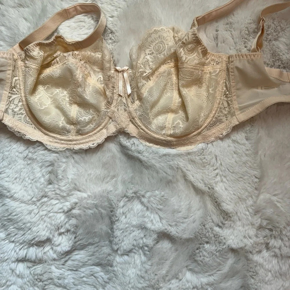 Panache Andorra 5675 Side Support Bra, US Size 30H Pearl Underwire Lace - Picture 4 of 7